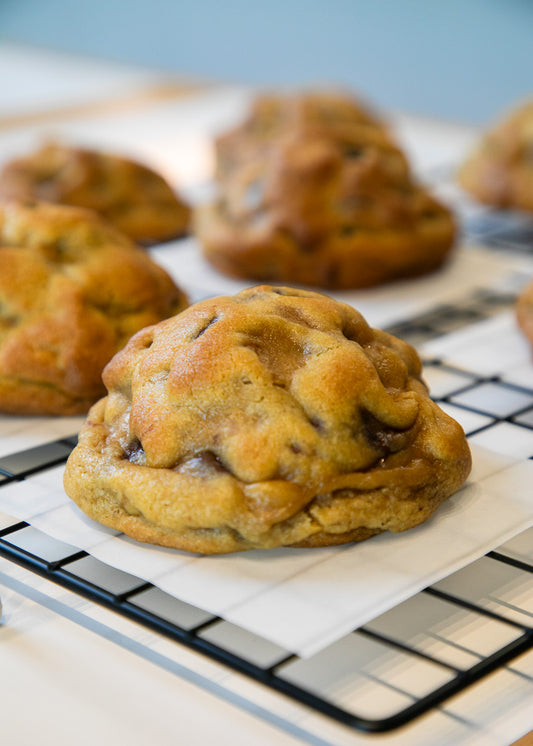 Chocolate Chip