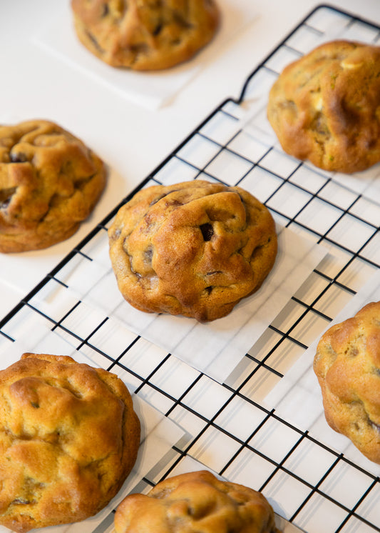 Chocolate Chip